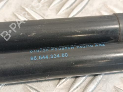 Tailgate lift support CITROËN C4 Picasso I MPV (UD_) 1.6 HDi | BP17962603C138 