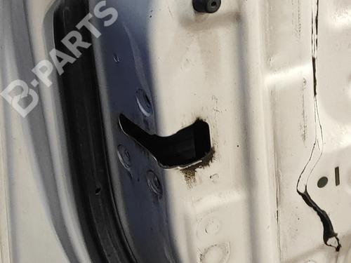 Left front door NISSAN PATHFINDER III (R51) 2.5 dCi | BP12102924C2 