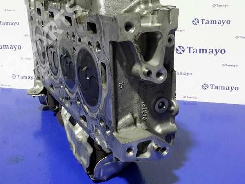 Cylinder head PEUGEOT EXPERT Van (VF3A_, VF3U_, VF3X_)  | BP10970051M5 