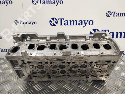 Cylinder head FIAT GRANDE PUNTO (199_)  | BP11789921M5 