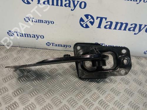 Left rear suspension arm VW GOLF V (1K1) 1.6 | BP24416237M14 