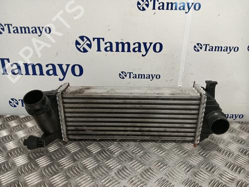 Used Intercooler RENAULT KANGOO Express (FW0/1_) 1.5 dCi 75 (FW07, FW10, FW04) (75 hp) 30396656