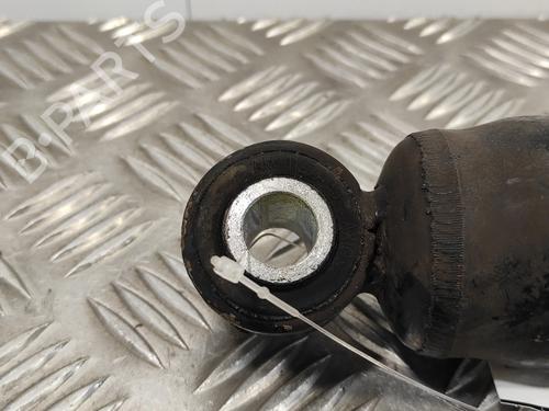 Left rear shock absorber FIAT DUCATO Van (250_)  | BP13317752M18 