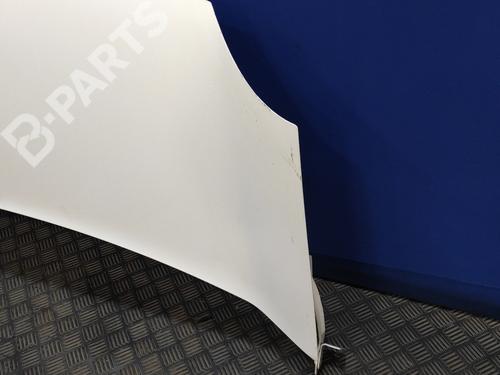 Hood RENAULT KANGOO / GRAND KANGOO II (KW0/1_) 1.5 dCi 70 (KW0V, KW0A) | BP11024634C1 
