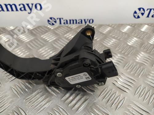 Pedal DACIA SANDERO II 1.5 dCi 75 / Blue dCi 75 (B8JW, B8M4, B8AH, B8M7, B8M6) | BP10405313I4 
