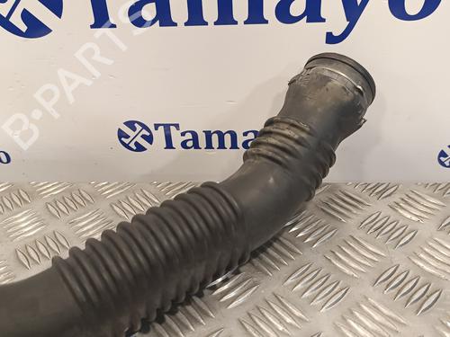 Pipe MERCEDES-BENZ A-CLASS (W169)  | BP16867853M125 