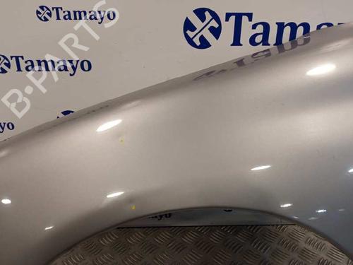 Left front fenders PEUGEOT 206 Hatchback (2A/C)  | BP24553882C41 