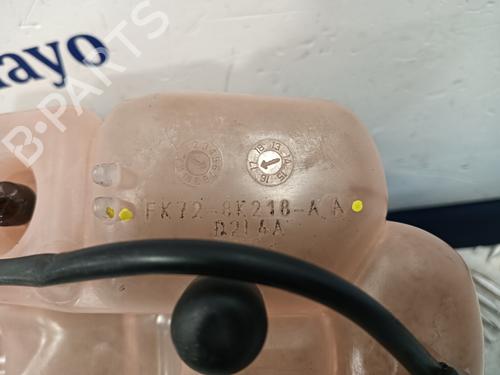 Expansion tank LAND ROVER DISCOVERY SPORT (L550)  | BP23899948C120