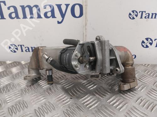 Egr BMW 1 (E87)  | BP25047487M69 