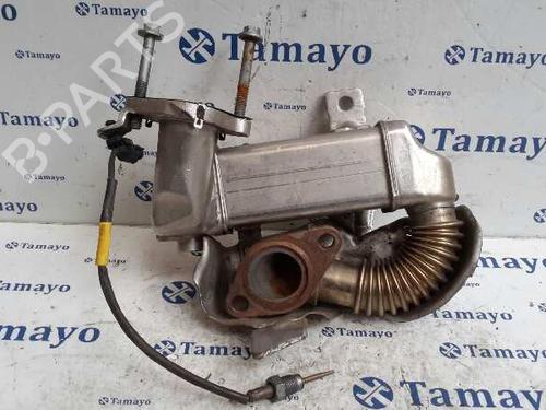 Egr NISSAN QASHQAI I (J10, NJ10) 1.6 dCi | BP14359868M69