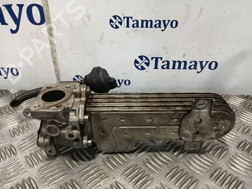 Egr SEAT LEON (1P1)  | BP27989514M69 