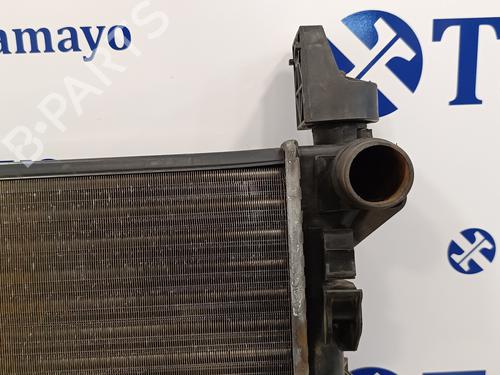 Water radiator FIAT DUCATO Van (250_)  | BP15772417M31 