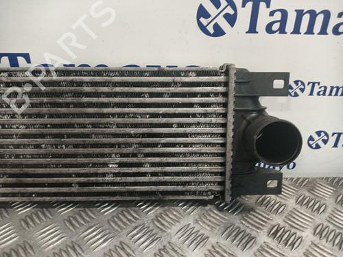 Intercooler radiateur RENAULT MASTER II Bus (JD) 2.5 dCi (JD01, JD02, JD11, JD12, JD1W) | BP30611335M30