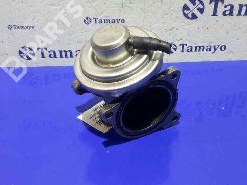 Used Egr SEAT IBIZA III (6L1) 1.4 TDI (70 hp) 4839359
