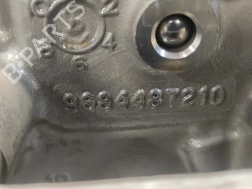 Cylinder head PEUGEOT EXPERT Van (VF3A_, VF3U_, VF3X_)  | BP24202807M5 