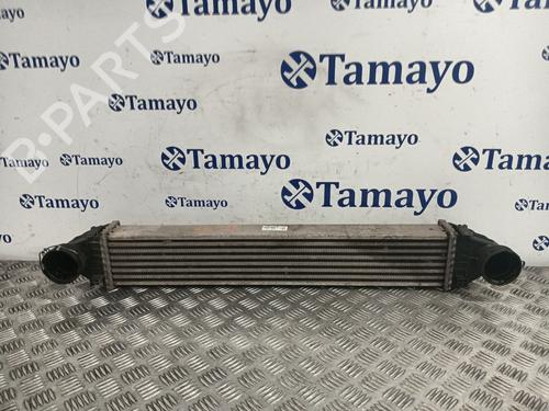 Intercooler MERCEDES-BENZ A-CLASS (W169) [2004-2012]  31706687