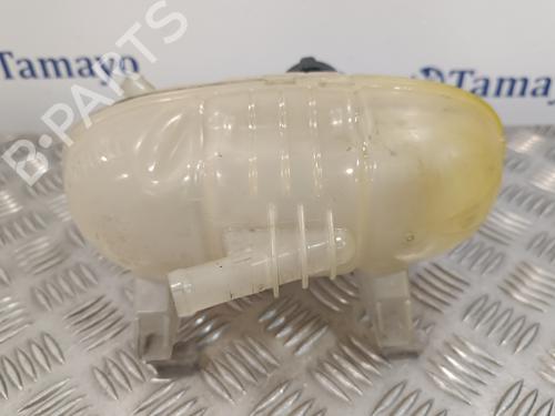 Expansion tank RENAULT TRAFIC III Van (FG_)  | BP16756411C120 
