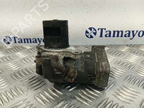 Egr OPEL ZAFIRA A MPV (T98)  | BP24502974M69 