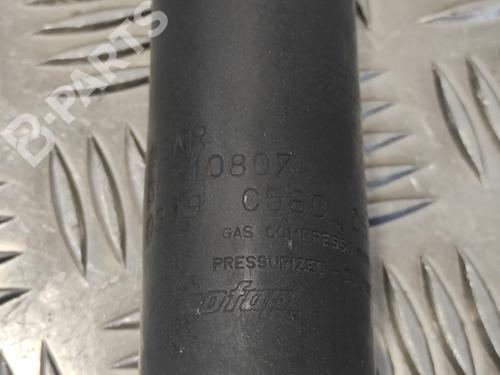 Right rear shock absorber FORD KA (RU8) 1.3 TDCi | BP11024443M19 