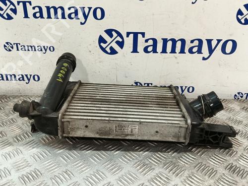 Intercooler DACIA LOGAN II TCe 90 (L8MA, L8M1, L8AC) | BP32396168M30