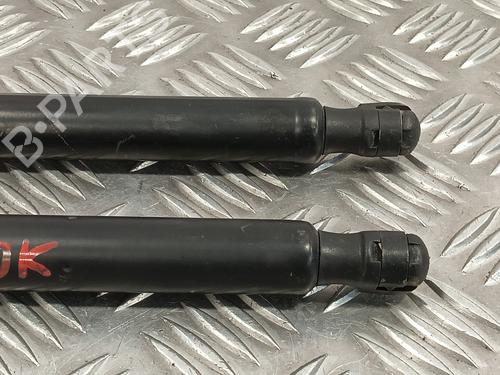 Tailgate lift support LAND ROVER RANGE ROVER SPORT I (L320) 2.7 D 4x4 | BP14853497C138 