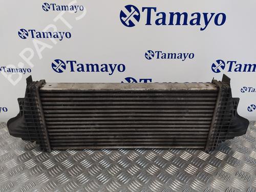 Intercooler MERCEDES-BENZ M-CLASS (W164)  | BP21027725M30 