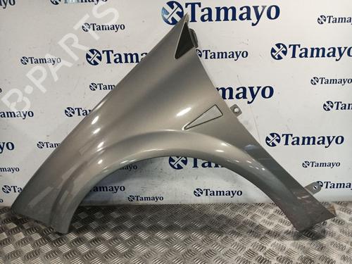 Used Left front fenders RENAULT MEGANE II Estate (KM0/1_) 1.9 dCi (KMRG, KM1G, KM0G, KM2C) (120 hp) 29921172