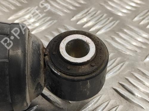 Right rear shock absorber FIAT DUCATO Van (250_)  | BP13317751M19 