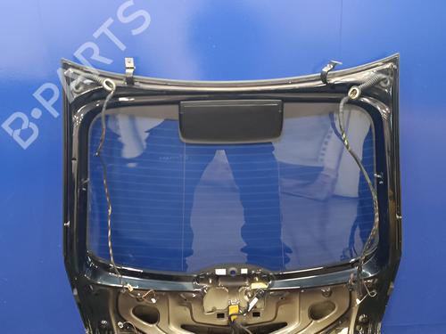 Tailgate SKODA RAPID (NH3, NK3, NK6) 1.6 TDI | BP16685087C6 