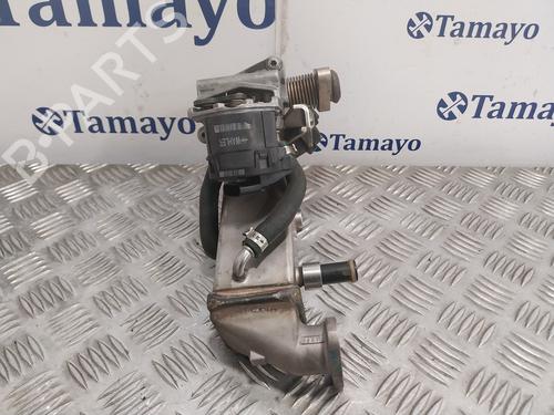 Egr BMW 1 (E87)  | BP25047487M69 