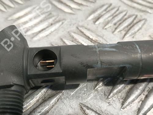 Injector MERCEDES-BENZ VIANO (W639)  | BP29591536M100 