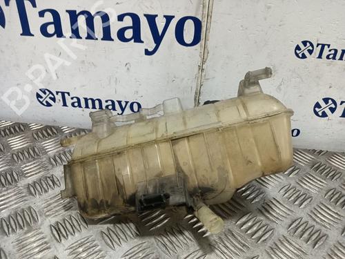 Expansion tank RENAULT KANGOO Express (FW0/1_) 1.5 dCi 75 (FW07, FW10, FW04) | BP30053213C120 