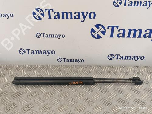 Used Tailgate lift support TOYOTA COROLLA Verso (ZER_, ZZE12_, R1_) 2.0 D-4D (CUR10_, CUR10R) (116 hp) 19647907