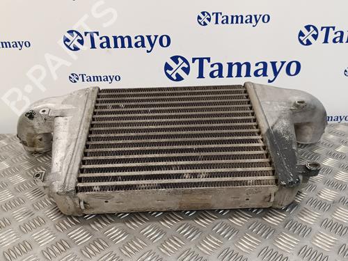 Intercooler NISSAN CABSTAR E (TL_, VL_)  | BP16451211M30 