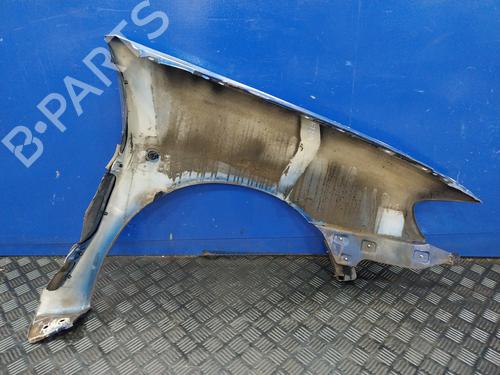 Left front fenders SEAT IBIZA II (6K1) 1.9 SDI | BP24952649C41 