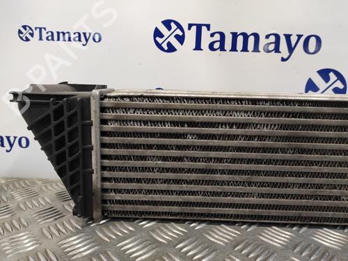 Intercooler RENAULT VEL SATIS (BJ0_) 2.2 dCi (BJ0E, BJ0F) | BP17447427M30 