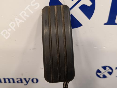 Pedal RENAULT CLIO III (BR0/1, CR0/1) 1.5 dCi (BR0H, CR0H, CR1S, BR1S) | BP17019924I4 