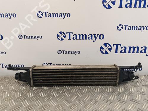 Intercooler OPEL CORSA D (S07) 1.3 CDTI (L08, L68) (75 hp) 5839926