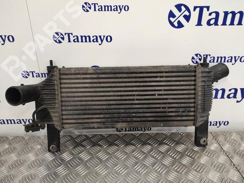 Intercooler NISSAN PATHFINDER III (R51) 2.5 dCi 4WD (171 hp) 12113315