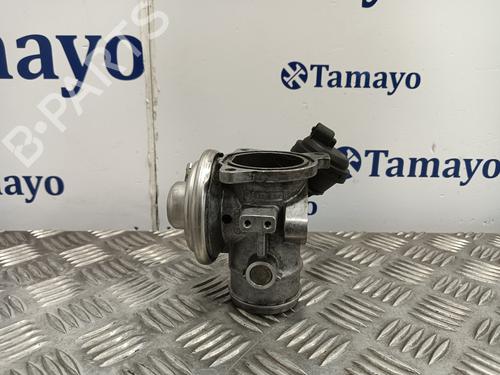 Egr VW GOLF IV (1J1) 1.9 TDI | BP20656649M69 