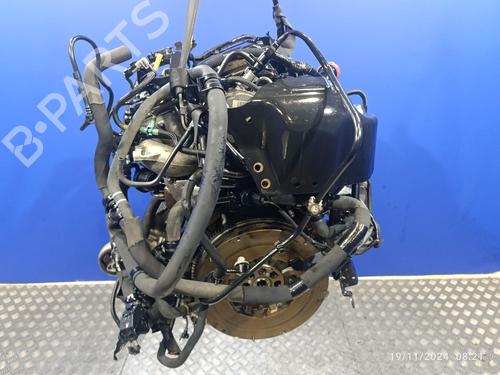 Engine OPEL MOVANO B Van (X62) | BP21219109M1 - Image 4