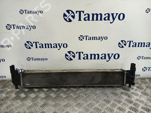 Intercooler VW POLO V (6R1, 6C1) [2009-2022]  30598381