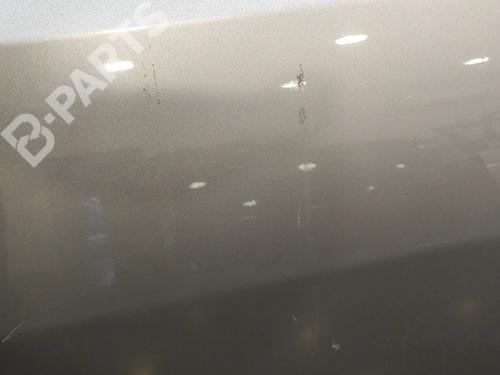 Left front door MITSUBISHI PAJERO III (V7_W, V6_W) 3.2 Di-D (V68W, V78W) | BP1254431C2 