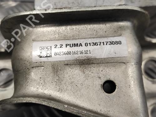 Engine mount FIAT DUCATO Van (250_)  | BP18347030M89 
