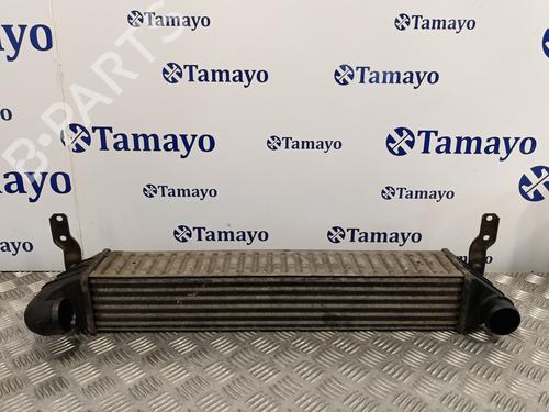Used Intercooler VW SHARAN (7M8, 7M9, 7M6) 1.9 TDI (90 hp) 18431974