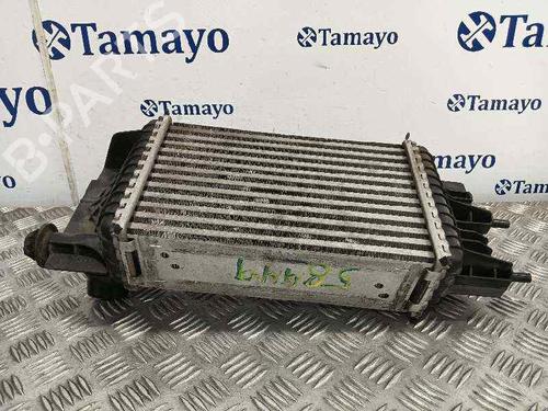 Intercooler NISSAN JUKE (F15)  | BP25432913M30 