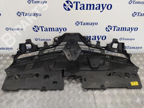 Grille RENAULT CLIO IV (BH_) 1.5 dCi 75 | BP10618563C40 