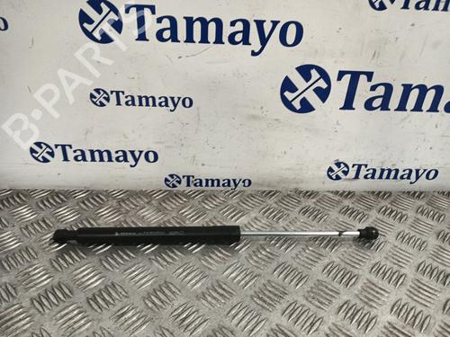 hood-lift-support-renault-clio-iv-bh_-2012-2013-2014-2015-2016-2017-2018-2019-2020-2021-31947883 main image