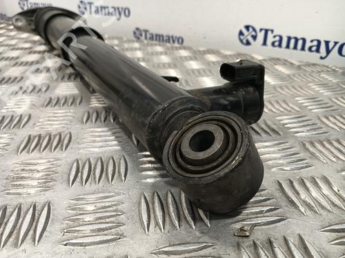 Right rear shock absorber NISSAN PATROL GR IV (Y60, GR) 2.8 TD | BP23418209M19 