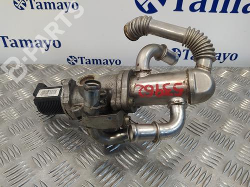 Egr FIAT GRANDE PUNTO (199_)  | BP10660061M69 